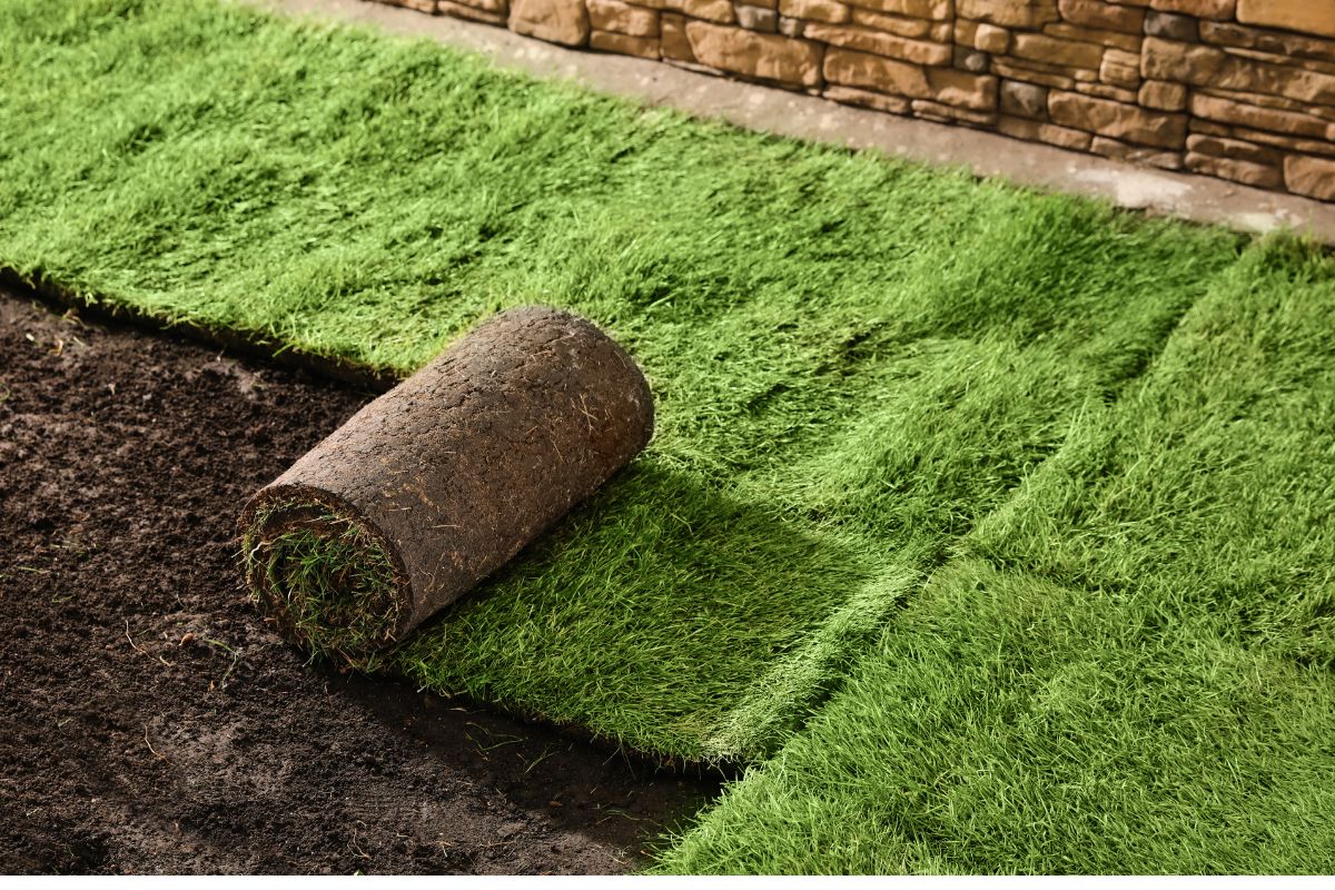 Upgrade Your Outdoor Space with Professional Landscape Construction in Eugene